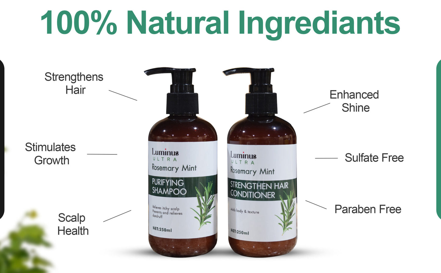 Rosemary Mint Shampoo and Conditioner-3