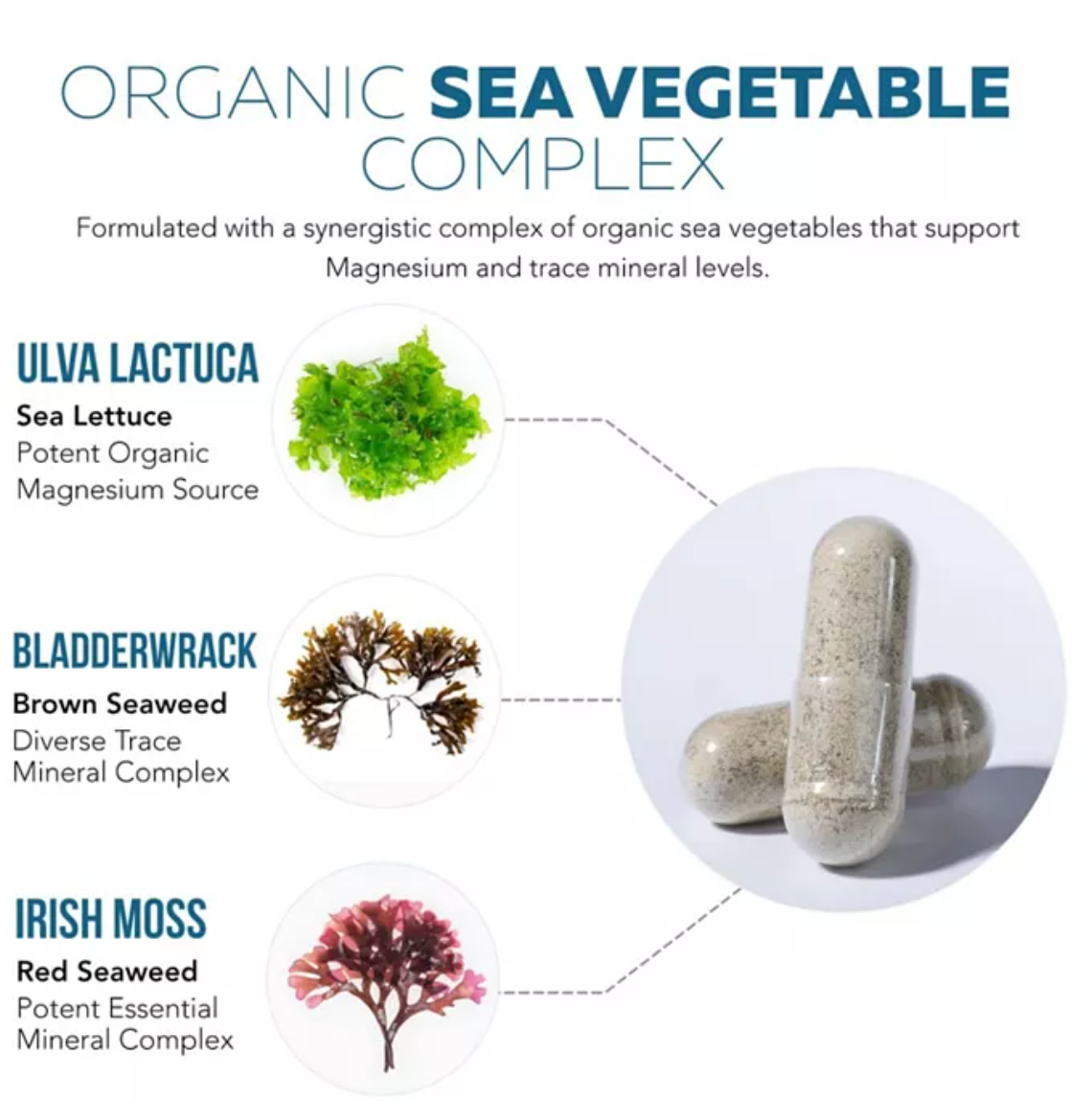 Triquetra Health - Magnesium 250Mg Plant (60.CP)
