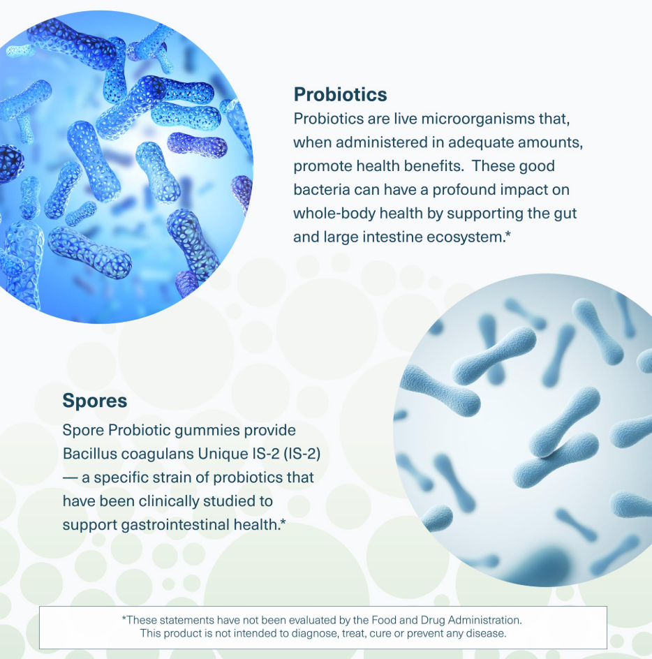 Youtheory - Probiotic Spore Gummy (60.PC)