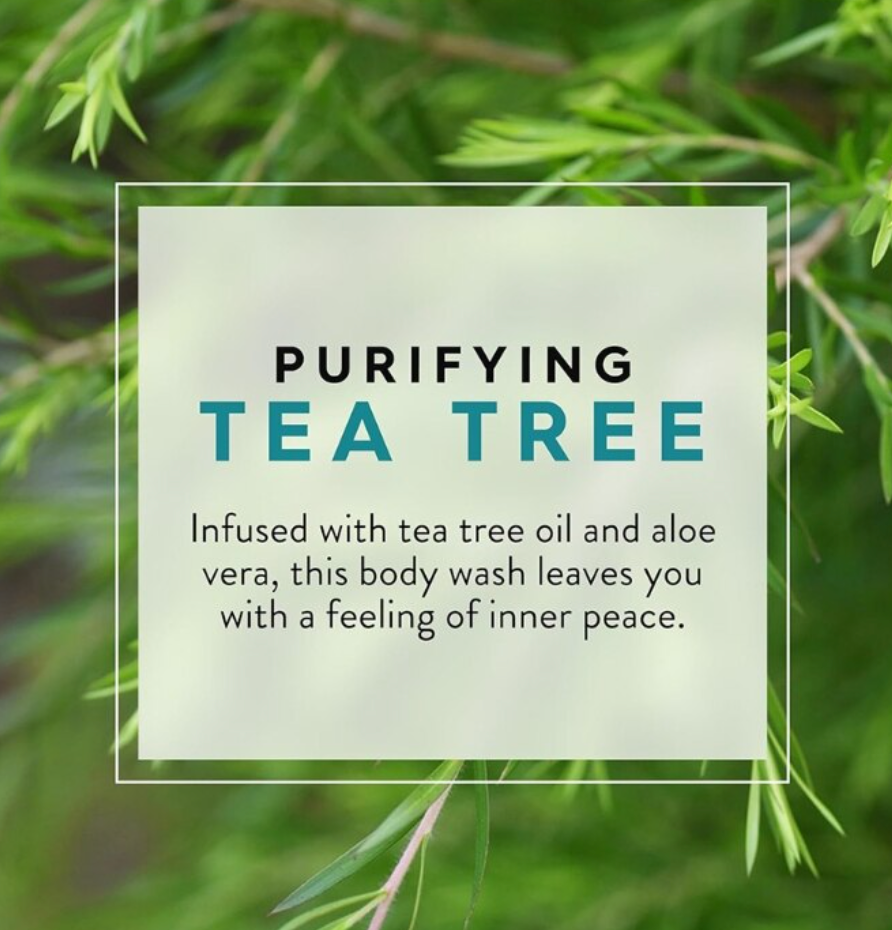 Jason - Body Wash Tea Tree, 30 fl oz