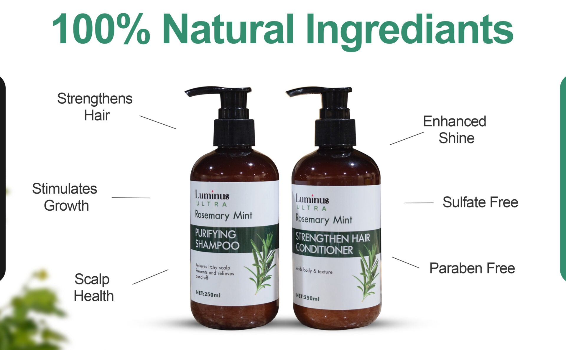 Rosemary Mint Shampoo and Conditioner-3