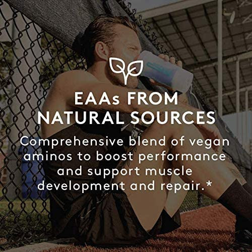 RSP AMINOS VEGAN ACAI ( 1 X 7.94 OZ   )-5