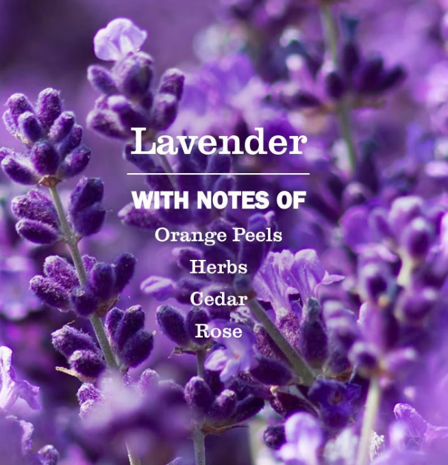 Mrs Meyers Clean Day - Soap Hand Liq Lavender (12.5OZ)