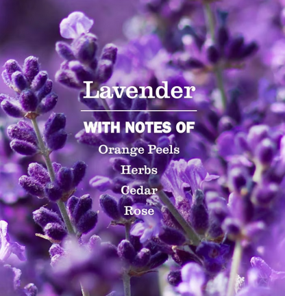 Mrs Meyers Clean Day - Soap Hand Liq Lavender (12.5OZ)