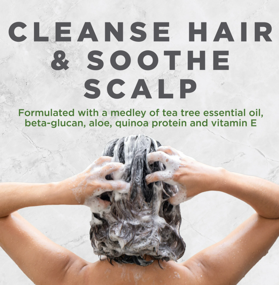 Avalon Organics - Shampoo Ttree Trtment (11.FO)