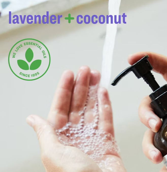 Everyone - Soap Hand Lavender Coconu (32.OZ)