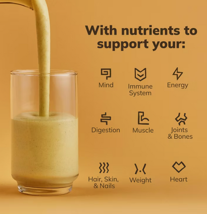 Kachava - Nutrition 1 Shake Chai (15.3OZ)