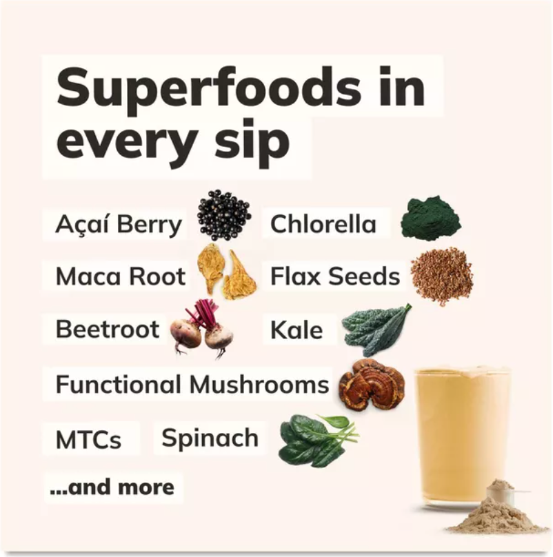 Kachava - Nutrition 1 Shake Chai (15.3OZ)