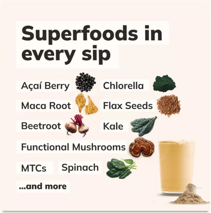 Kachava - Nutrition 1 Shake Chai (15.3OZ)