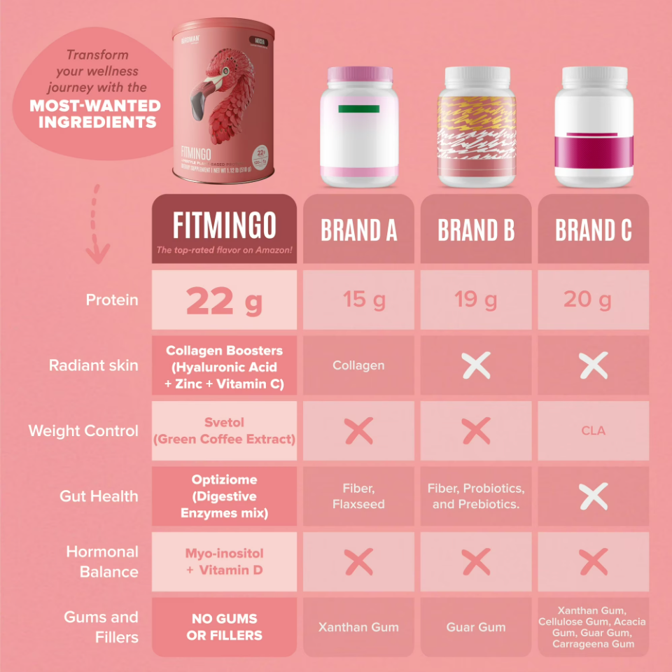 Birdman - Fitmingo Protein Mocha (1.12LB)