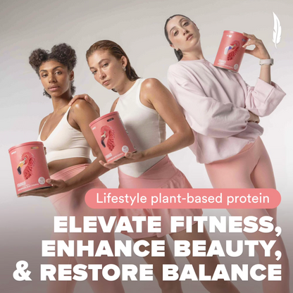 Birdman - Fitmingo Protein Mocha (1.12LB)