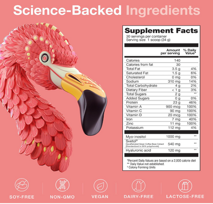 Birdman - Fitmingo Protein Vnla (1.12LB)