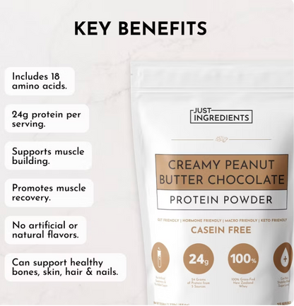 Just Ingredients - Whey Protein Pb Choc (19.54OZ)