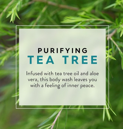 Jason - Body Wash Tea Tree, 30 fl oz