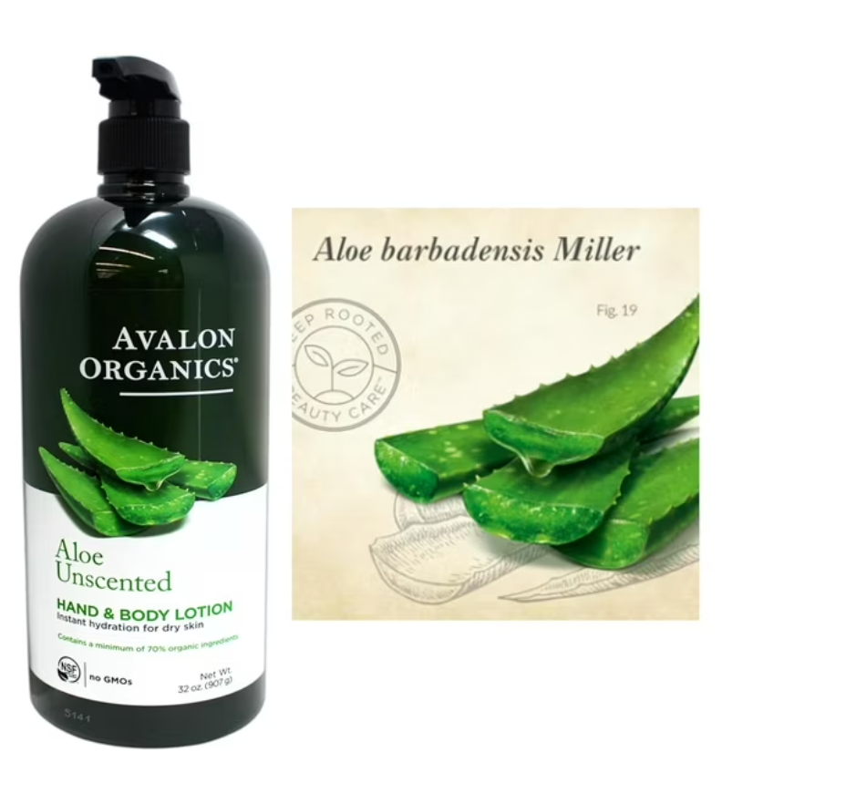 Avalon Organics Hand & Body Lotion for Dry Skin Aloe Unscented, 32 OZ