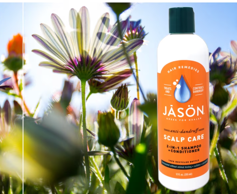 Jason Shampoo Cndtnr Dandruff, 12 oz