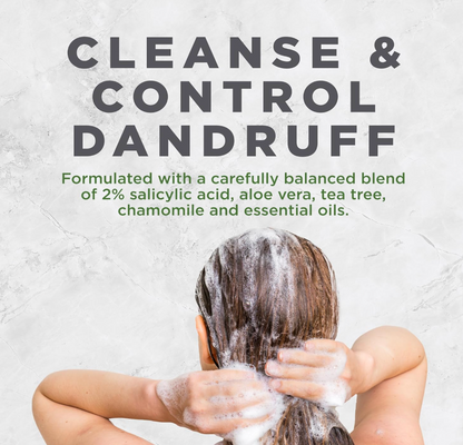 Avalon Organics Shampoo Anti Dandruff, 14 fl oz