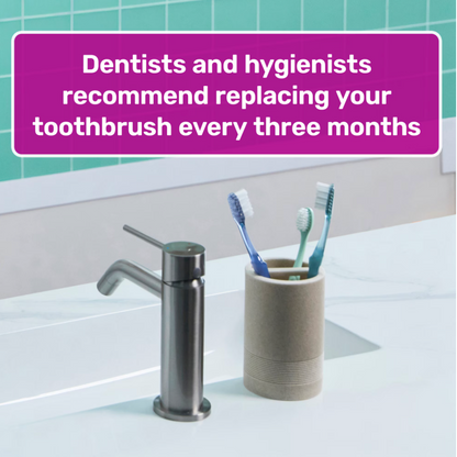 Tom's of Maine Soft Toothbrush
