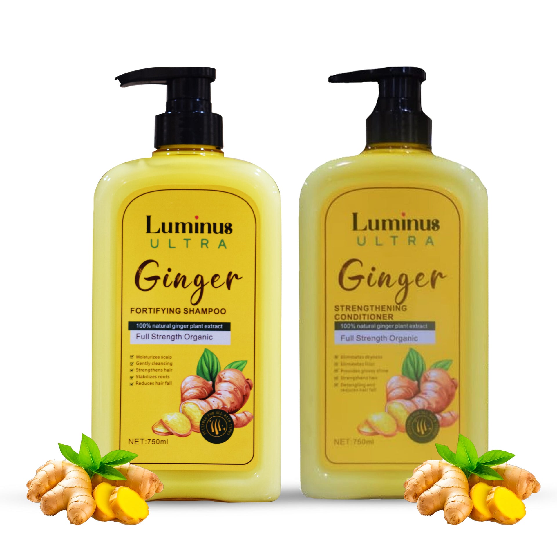 Ginger Hair Conditioner for Damaged Dry Hair, Hydrate & Repair Conditioner for Dry Hair Frizz Control and Hair Shine, Repairing Hair Mask with Ginger Oil Hair Moisturizer for All Hair Types-0